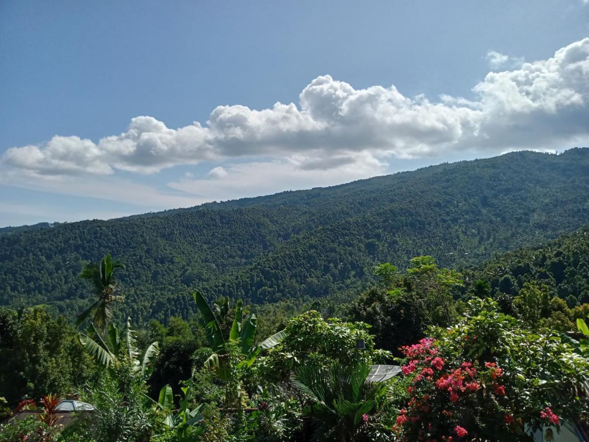 Aris Homestay And Warung Made Munduk Εξωτερικό φωτογραφία